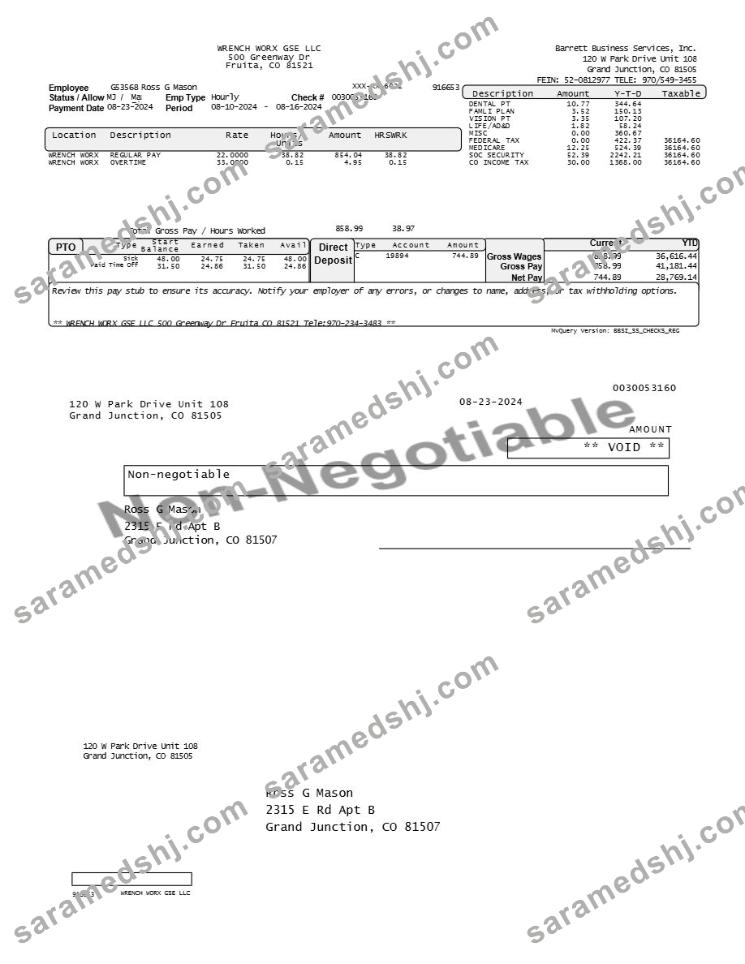 Barrett Business Services employee pay stub template in Word and PDF formats.pdf, 1